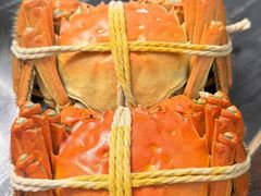 -小陆莲花蟹园农家乐(莲花岛店)