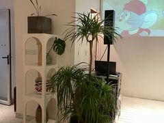 -春树下·树屋花房西餐厅(罍街AS1980店)