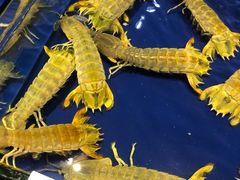 -三亚火车头万人海鲜广场