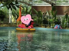 -南宫五洲植物乐园