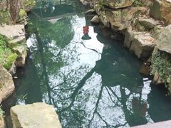 -兴福老面馆(寺路街店)