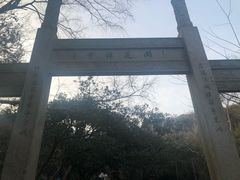 -雨花胜境