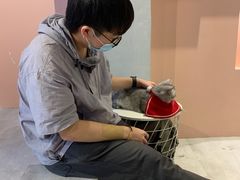 -猫儿山۰猫主题餐厅
