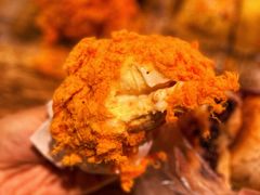 -桃酥大王(北关西路店)