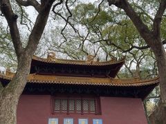 -普陀山风景名胜区-法雨禅寺