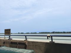-大湾区中央湿地公园-十九涌