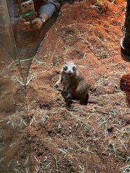 -Zoolung Zoolung动物主题公园(海信广场店)