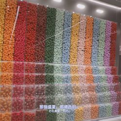 -THE COLORIST调色师