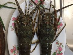 -众彩物流水产市场