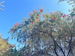 -广东花都湖国家湿地公园