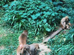 -黔灵山公园