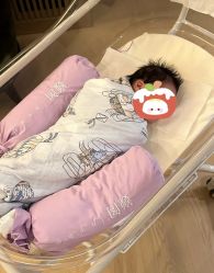 -巍阁高端月子会所