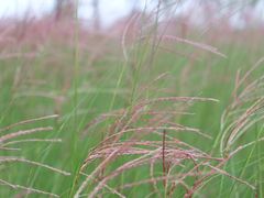 -汉长安城未央宫国家考古遗址公园