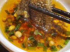 -红鼎坊·老成都火锅(新南门店)