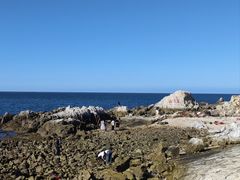-养马岛旅游度假区