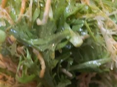 -同乐馆(阳光店)