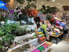-伊藤洋华堂(温江店)