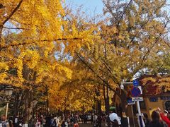 -八大关景区