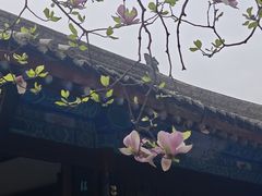 -万寿八仙宫