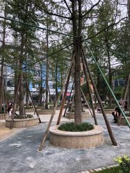 -成都市妇女儿童中心医院(中心院区)