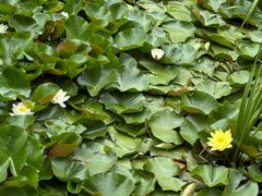 -大连植物园