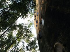 -开平碉楼文化旅游区马降龙景区