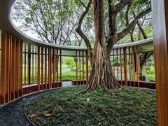 -云溪植物园