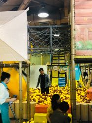 点击看大图 -MELAND(湾悦城店)