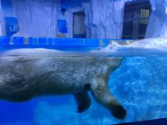 -多彩贵州城极地海洋世界