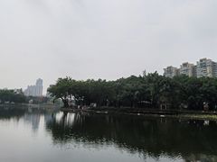 -荔湾湖公园