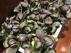 -余欢领鲜火锅(新街口店)
