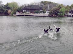 -无锡蠡湖国家湿地公园-蠡园