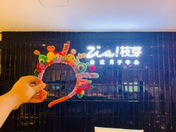 -明宇集团·积木枝芽母婴健康管理中心(天府店)