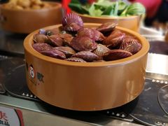 -龍歌自助小火锅(市南金茂湾店)