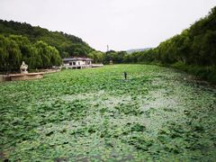 -北山公园