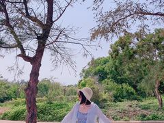 -漳州滨海火山岛自然生态风景区