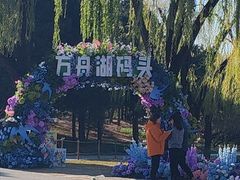 -朝阳公园游乐园