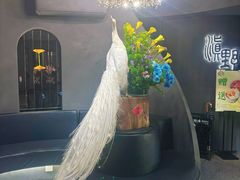 -滇野云南野生菌餐厅(陕西南路店)