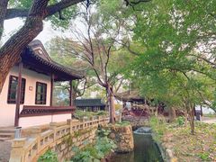 -上海醉白池公园