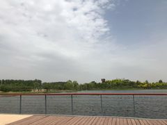-东郊湿地公园