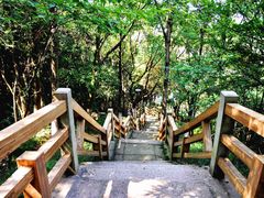 -青龙山公园