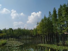 -南京银杏湖乐园