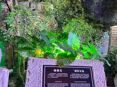 -三亚千古情