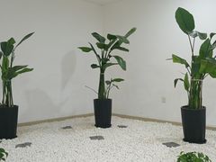 -哈尔滨市民大厦