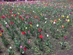 -长春公园(普阳街道)