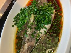 清蒸鲈鱼-六千馆(花都店)