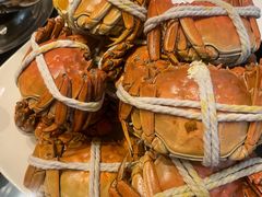 -太湖饭店玉兰厅(自助餐厅)