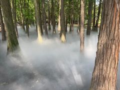 -东湖落雁景区
