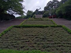-杭州少年儿童公园