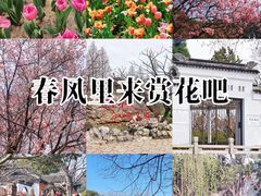 -无锡梅园公园